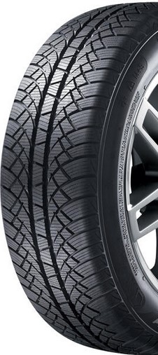 Anvelope Iarna Sunny NW611 175/65 R14 86 T