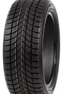Anvelope Iarna Delinte Winter WD6 225/55 R16 91 T