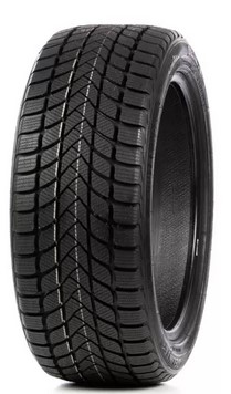 Anvelope Iarna Delinte Winter WD6 225/55 R16 91 T